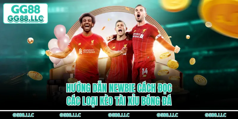 Hướng dẫn newbie cách đọc các loại kèo tài xỉu bóng đá