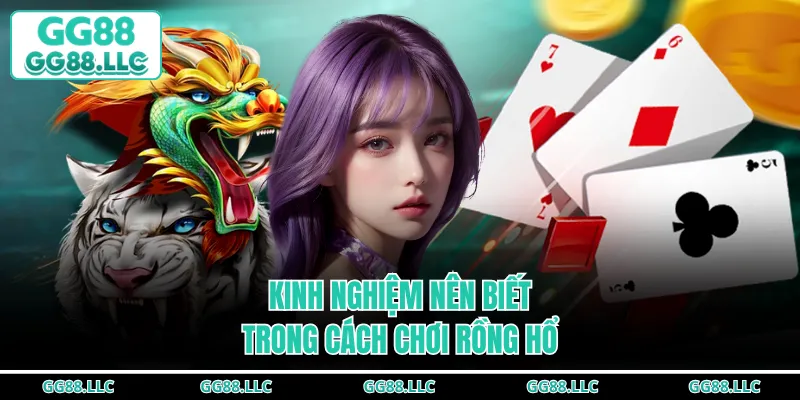Kinh nghiệm nên biết trong cách chơi Rồng Hổ
