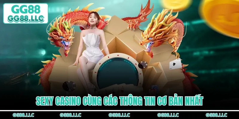 Sexy Casino cùng các thông tin cơ bản nhất